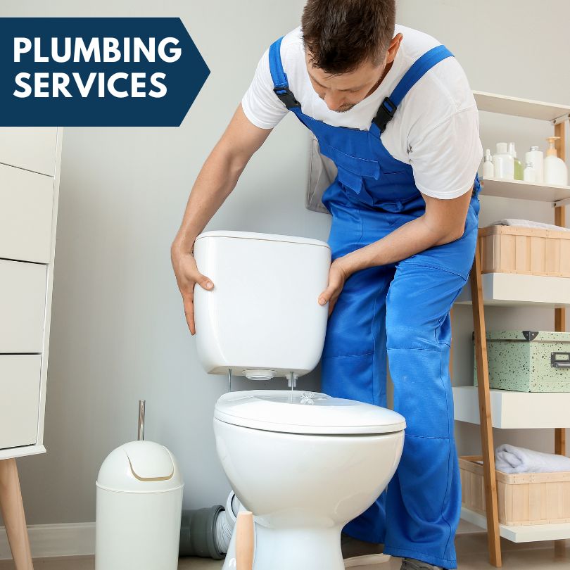 Plumbing Company in Bluffs, IL